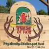 Twist of Fate History